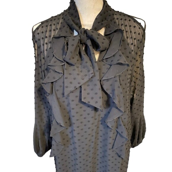 ZARA Plumetis Dress Bow Neckline Black Swiss Dot Size Large Ruffles Line… - Picture 5 of 12